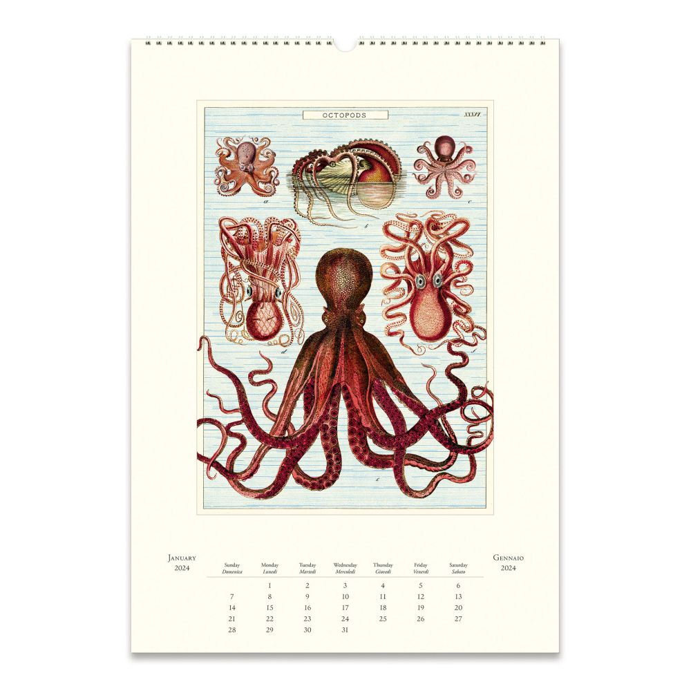 CAVALLINI & CO - 2024 - Vintage Poster Wall Calendar - SEA LIFE - BEST GIFT FOR MARINE LOVERS