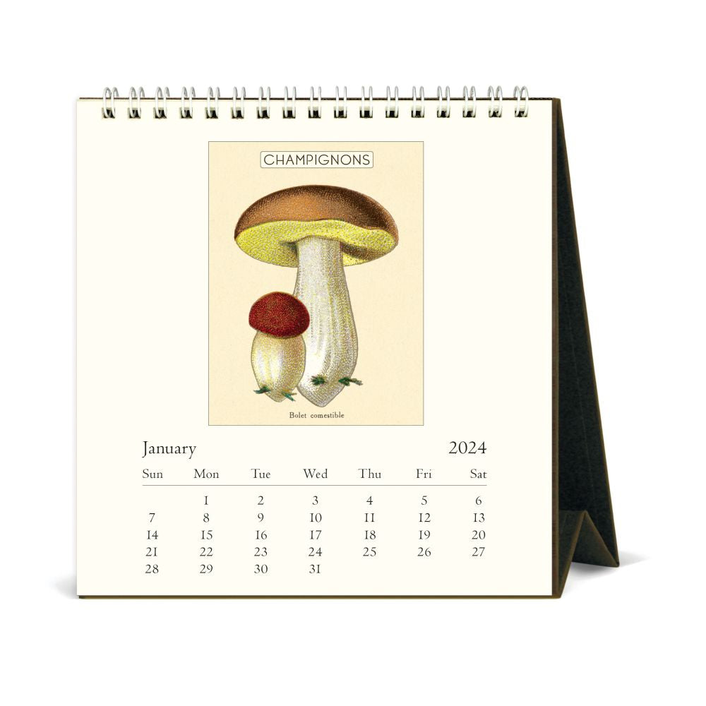 CAVALLINI & CO - 2024 Vintage Desk Calendar - MUSHROOMS - BEST 2023 CHRISTMAS GIFTS FOR FRIENDS AND FAMILIES - GIFT IDEAS FOR UNDER 20