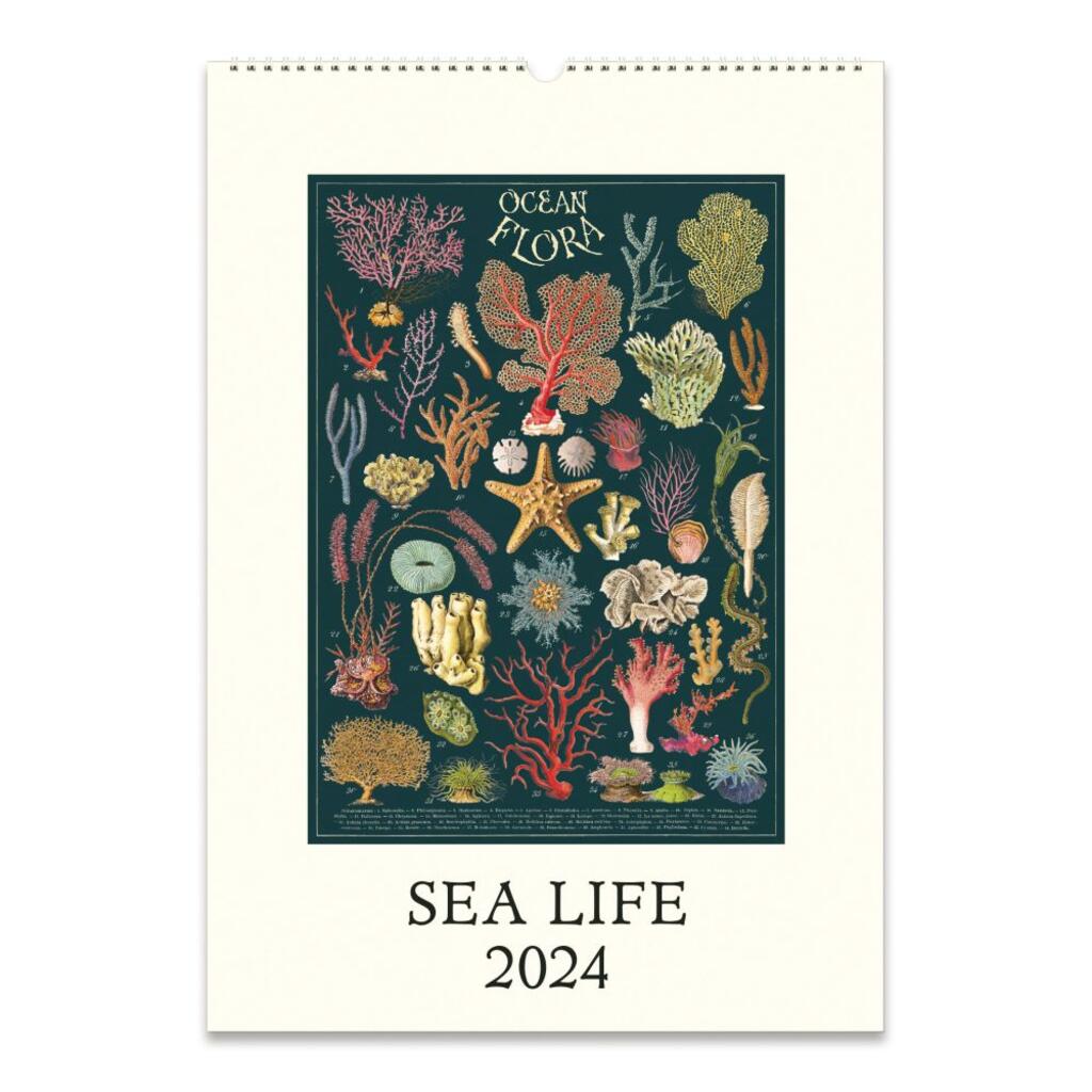 CAVALLINI & CO 2024 Vintage Poster Wall Calendar SEA LIFE