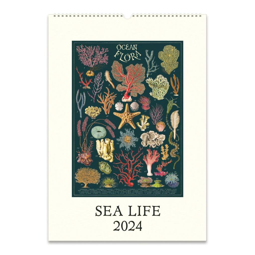 CAVALLINI & CO - 2024 - Vintage Poster Wall Calendar - SEA LIFE - BEST GIFT FOR MARINE LOVERS