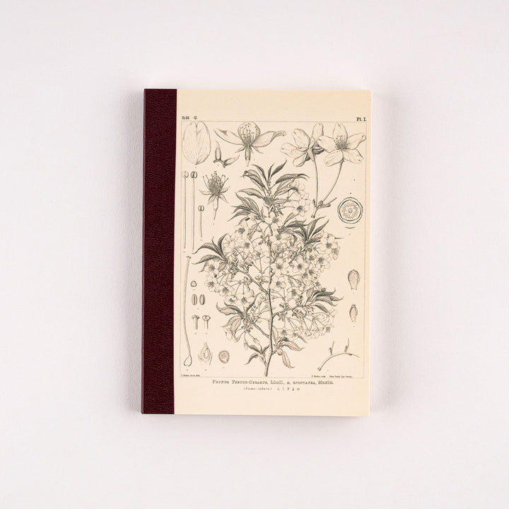 Hobonichi – A6 Plain Notebook – Grid – 2023 Spring Edition – Tomitaro Makino: Yamazakura - Buchan's Kerrisdale Stationery