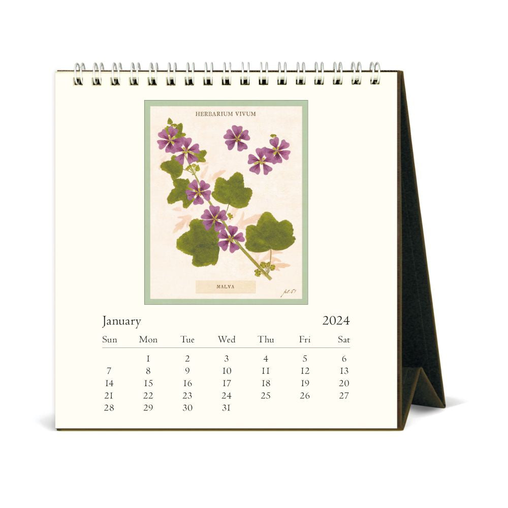 CAVALLINI & CO - 2024 Vintage Desk Calendar - PRESSED FLOWERS - BEST 2023 CHRISTMAS GIFTS  FOR UNDER 20 - GIFT IDEAS FOR FRIENDS AND FAMILIES