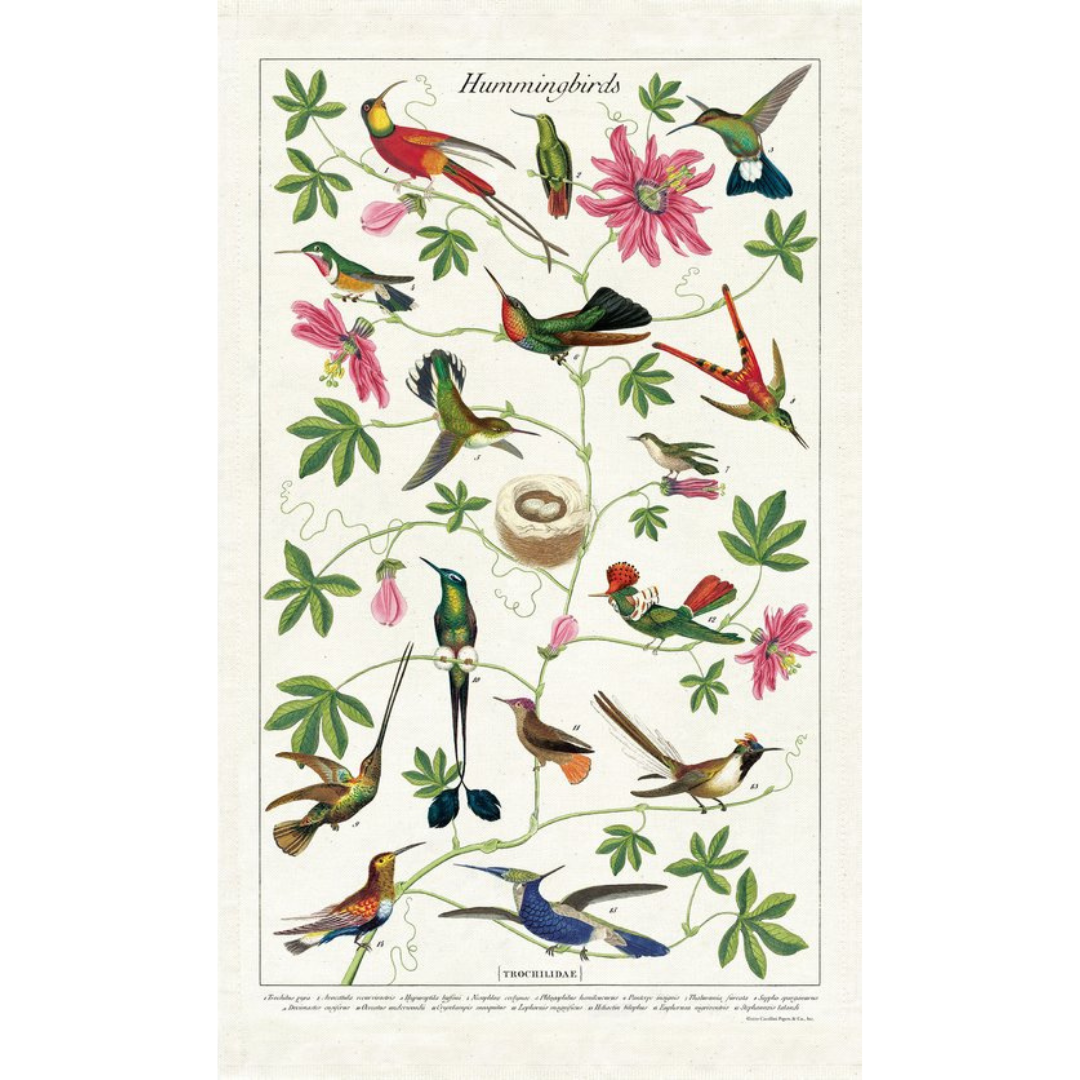 Cavallini & Co - Vintage Tea Towels