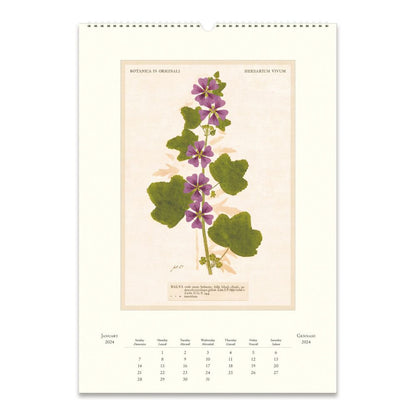 CAVALLINI & CO - 2024 - Vintage Poster Wall Calendar - PRESSED FLOWERS