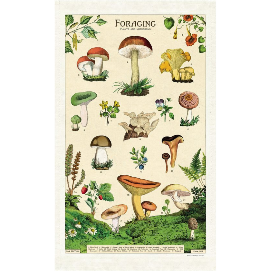 Cavallini & Co - Vintage Tea Towels