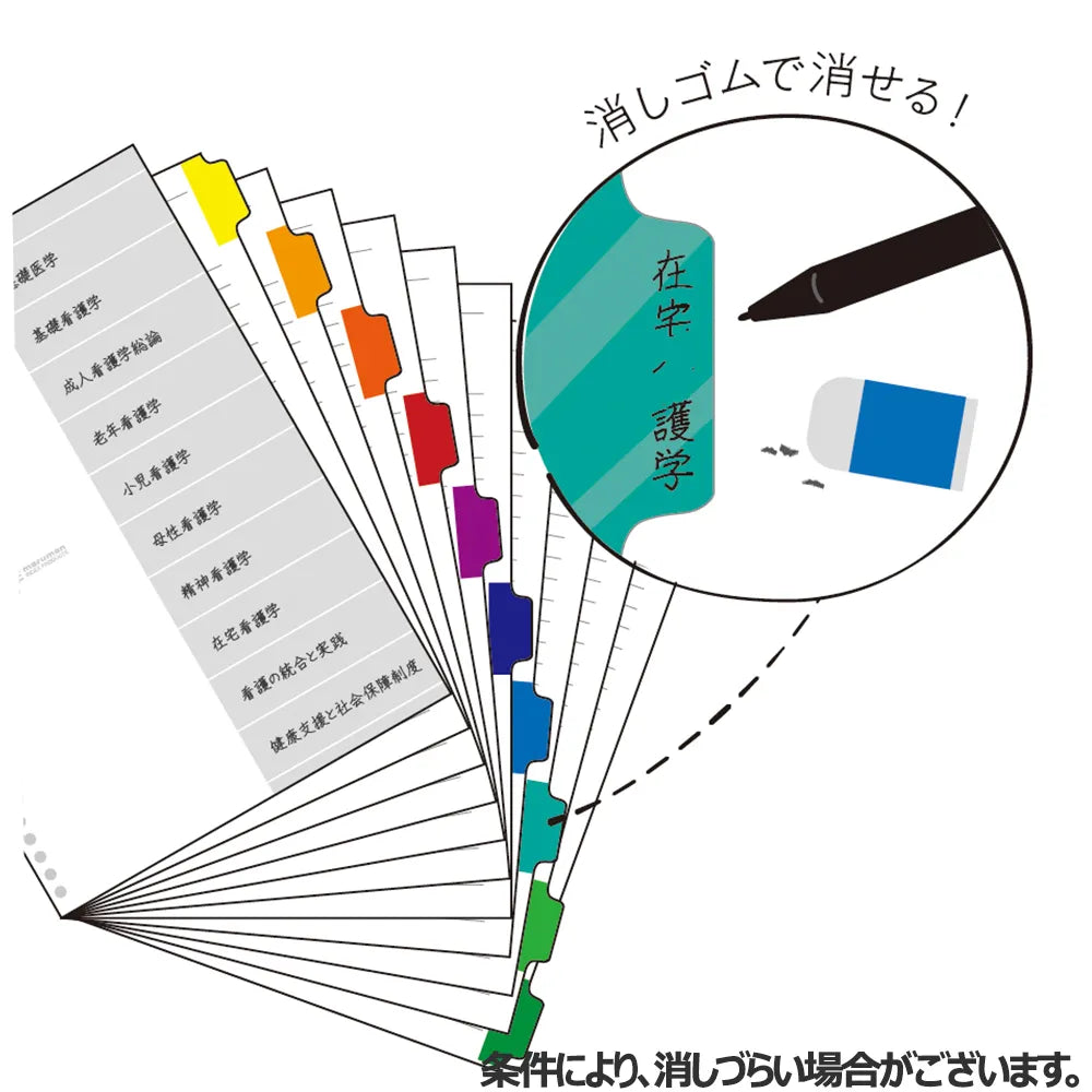 buy japanese stationery in vancouver canada -MARUMAN - SESSiON Binder - A4 Size 30 Holes - Clear