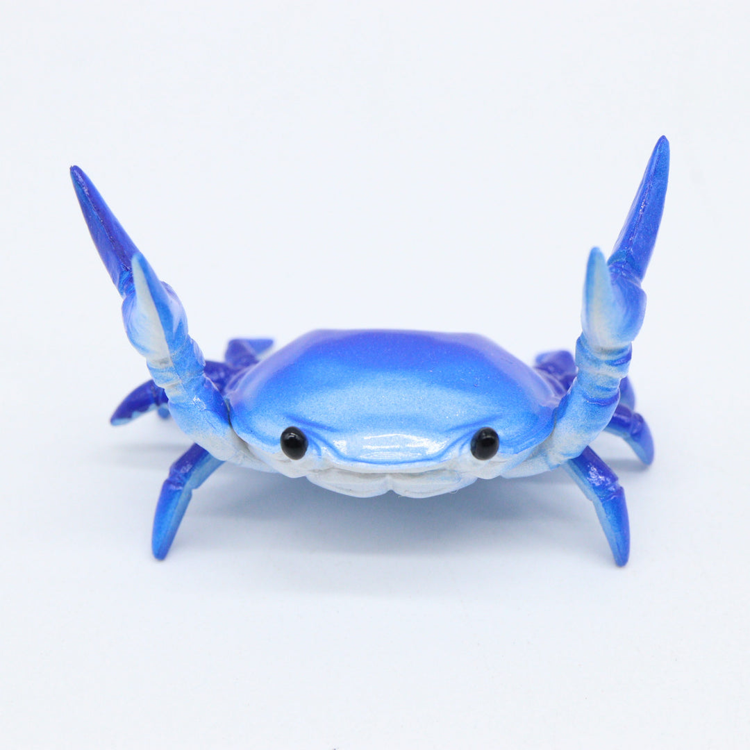 Ahnitol crab pen holder teal blue