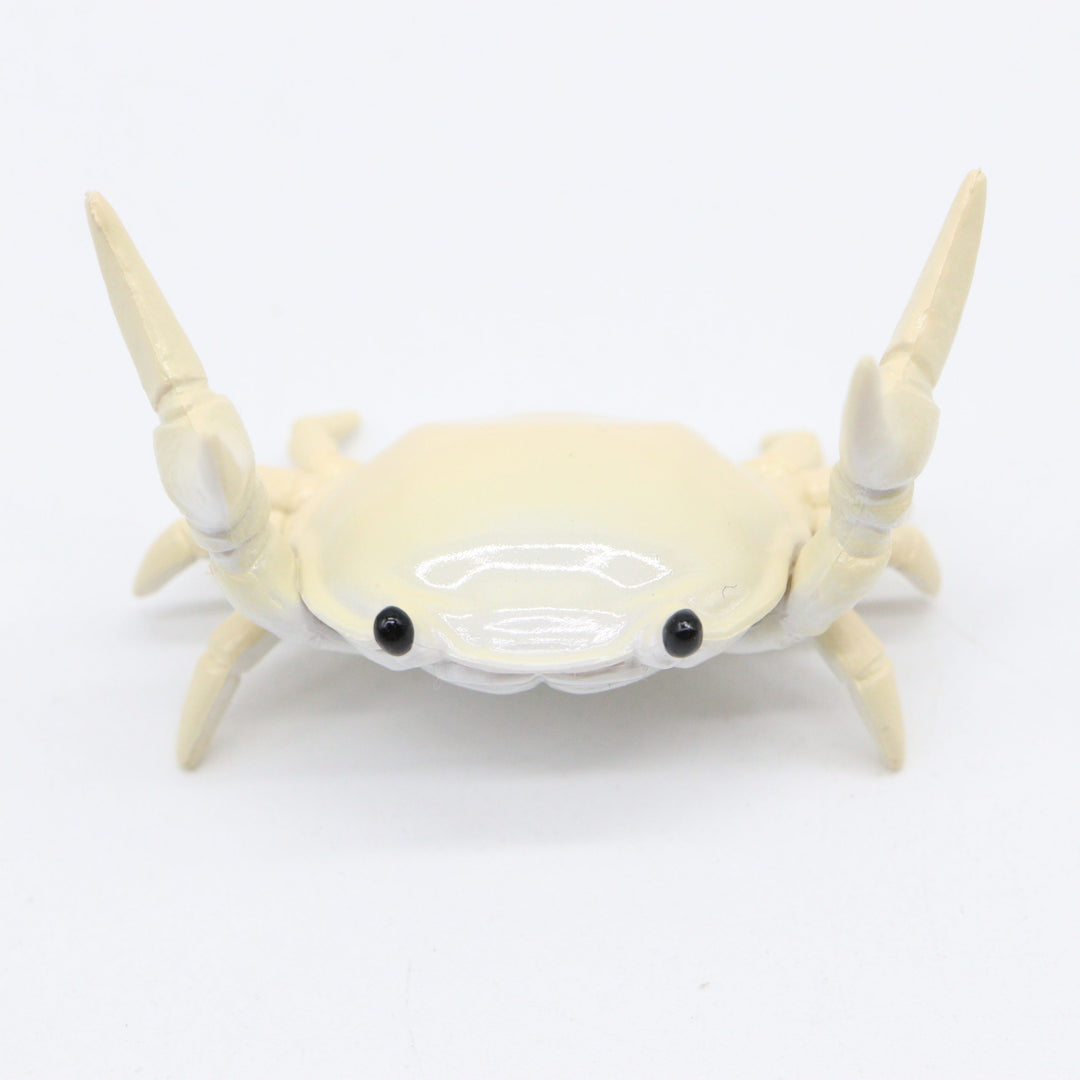 Ahnitol crab pen holder beige