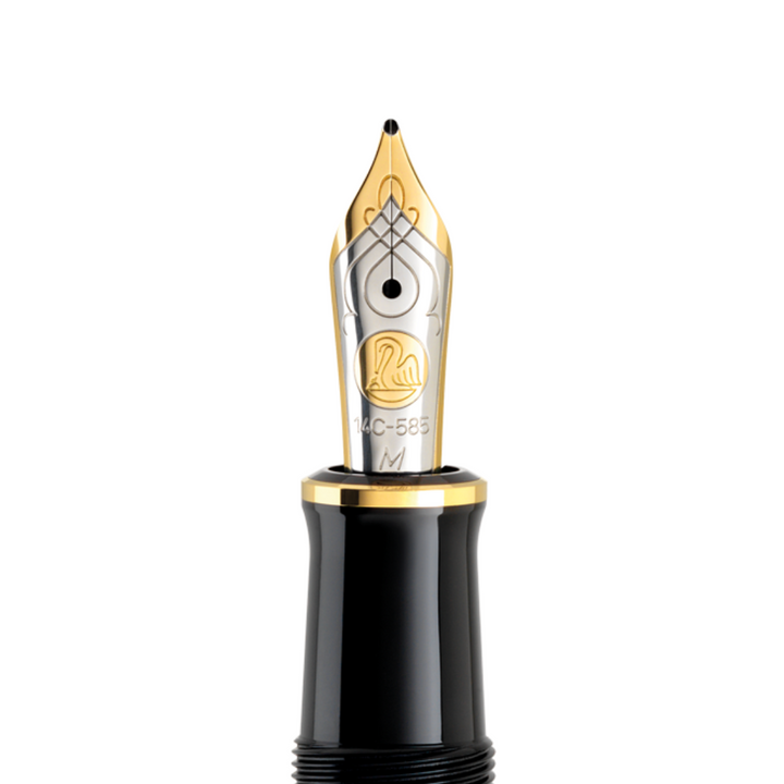 Pelikan - Souverän M600 Art Collection Fountain Pen - Glauco Cambon (Special Edition)