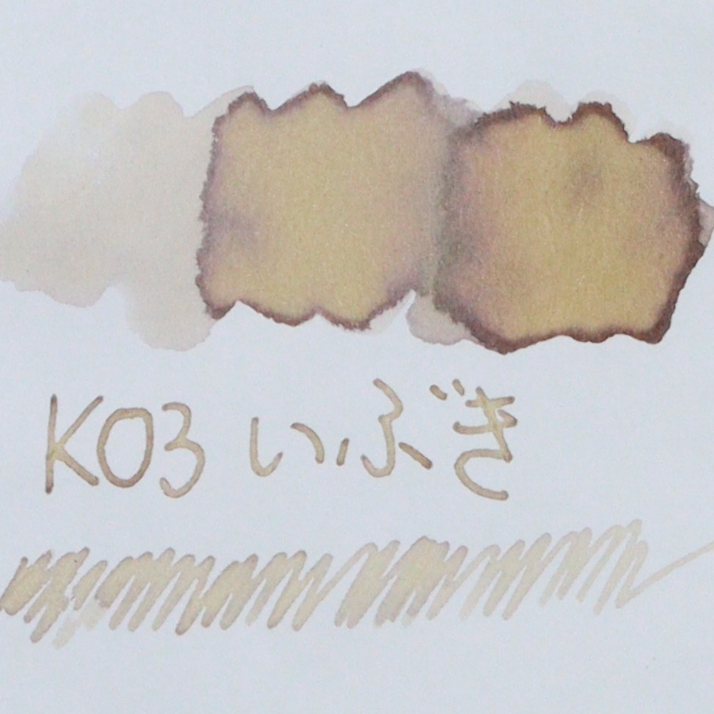Canada Vancouver Buchan's Stationery Store - TONO & LIMS - 30ML Fountain Pen Ink - Kaleidoscope Pure - Ibuki (いぶき) swatches