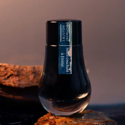 DOMINANT INDUSTRY – PAINTER SERIES – Bottled Fountain Pen Ink (25ml) – No.120 Soleil Couchant: à Étretat Ink Swatches - Free Shipping to US and Canada