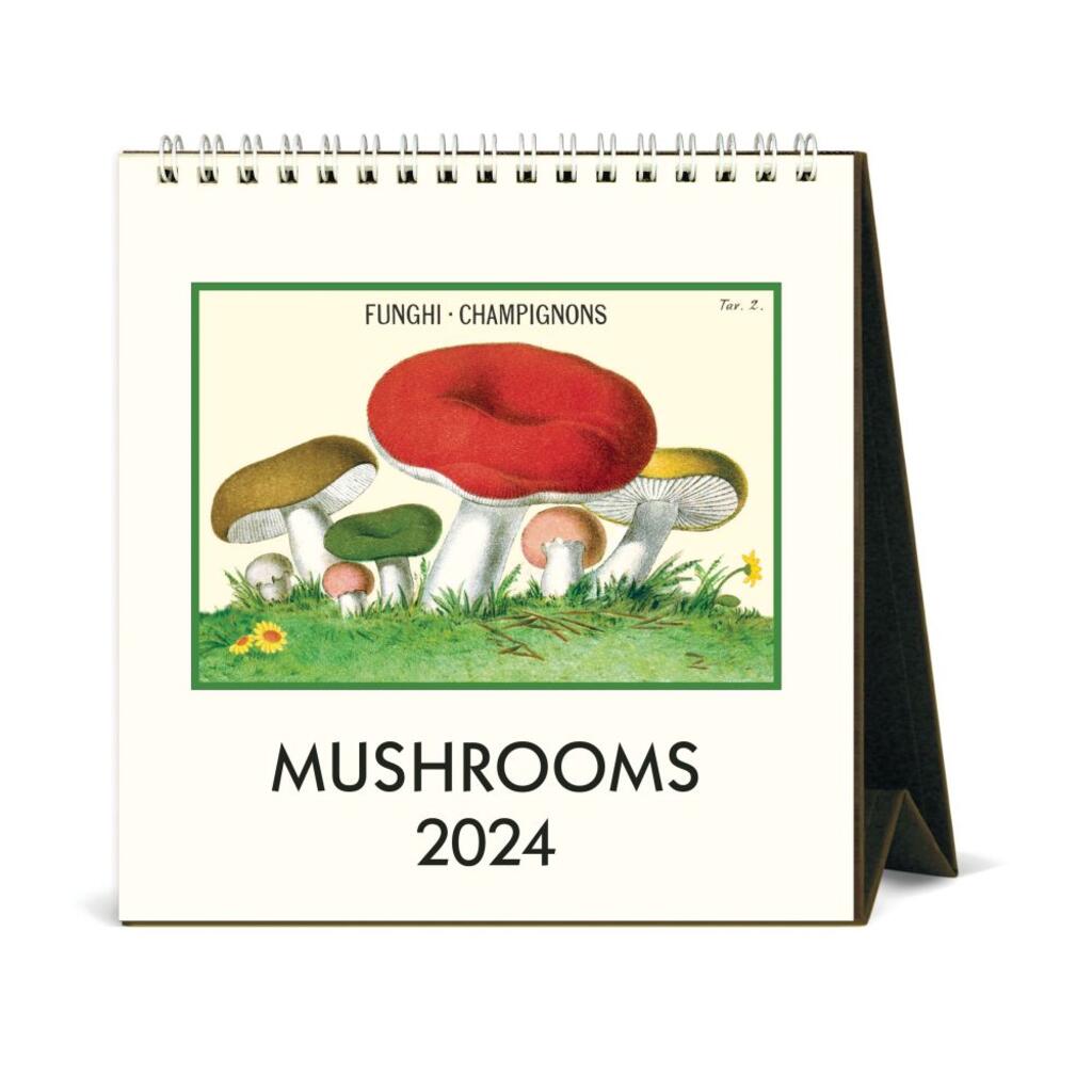 CAVALLINI & CO - 2024 Vintage Desk Calendar - MUSHROOMS - BEST 2023 CHRISTMAS GIFTS FOR FRIENDS AND FAMILIES - GIFT IDEAS FOR UNDER 20