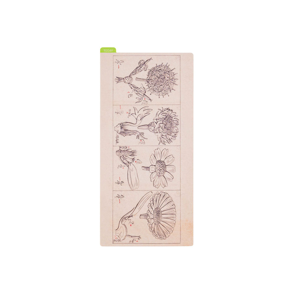 Hobonichi Techo 2024 - Pencil Board - Tomitaro Makino WEEKS