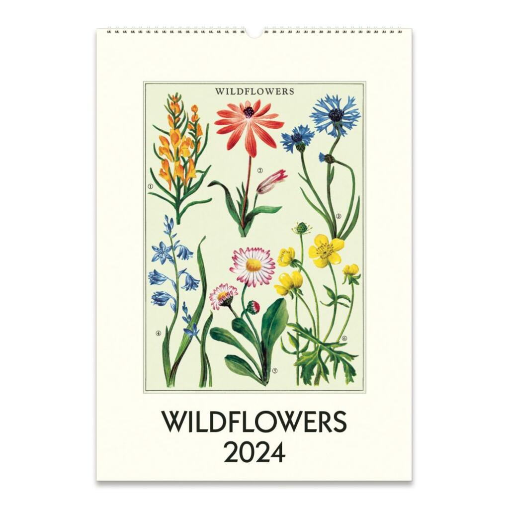 CAVALLINI & CO - 2024 - Vintage Poster Wall Calendar - WILDFLOWERS