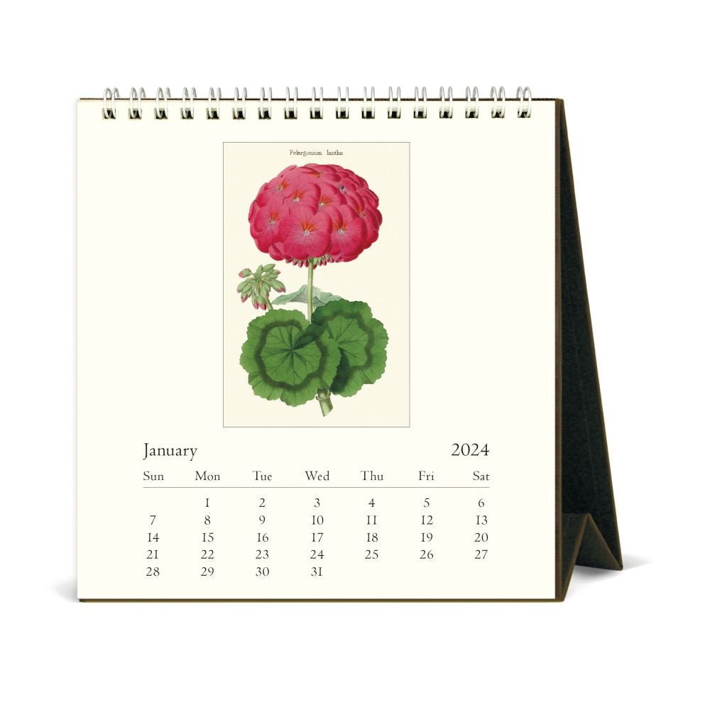 CAVALLINI & CO - 2024 Vintage Desk Calendar - BOTANICA