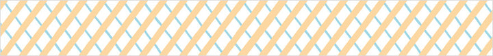 SODA - 20mm Transparent Washi Tape - Gift