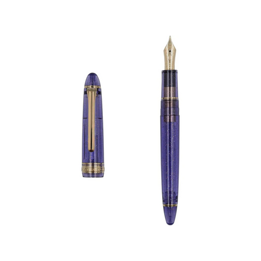 SAILOR PEN - 1911S Fountain Pen - Pen of the Year 2025 - 14K - Grape Expectations