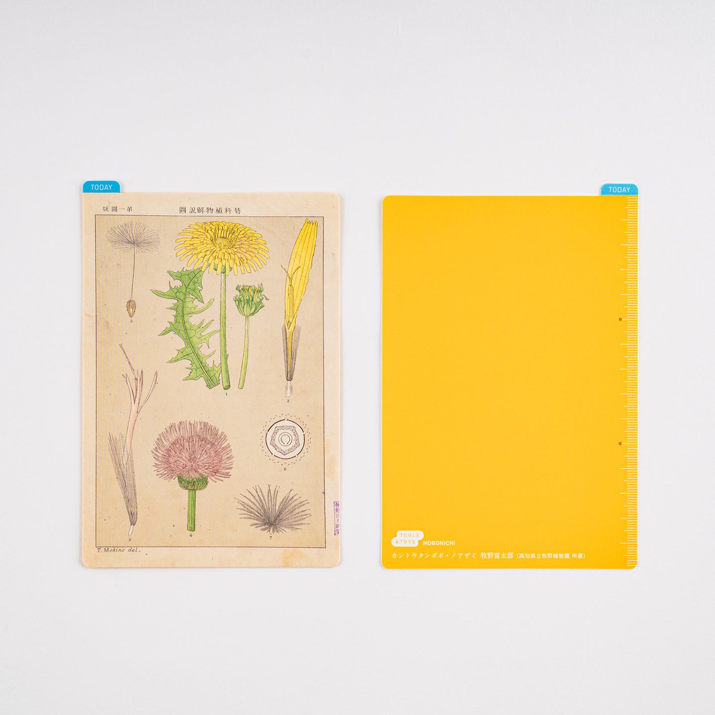 Hobonichi Techo 2024 - Pencil Board - Tomitaro Makino A6