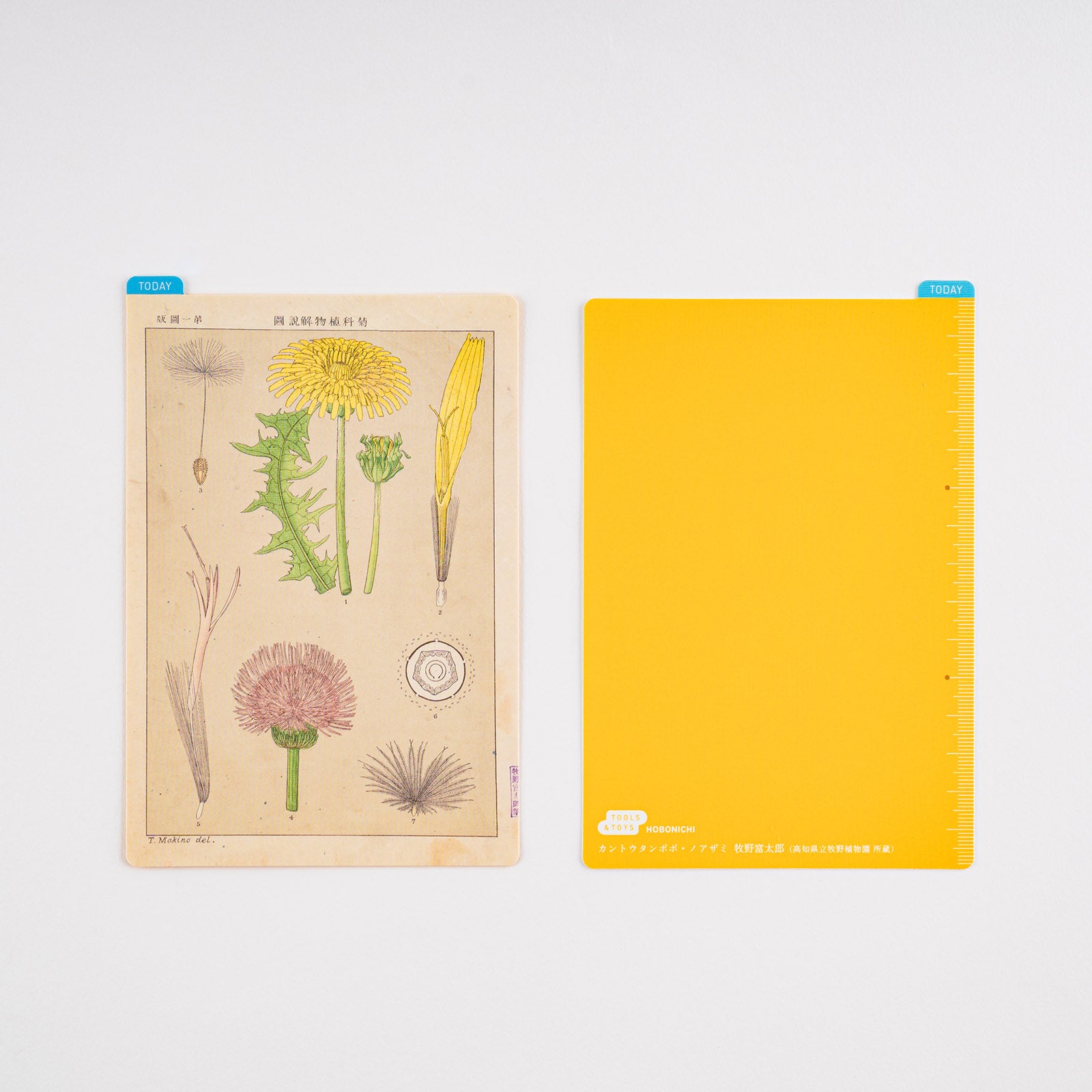 Hobonichi Techo 2024 - Pencil Board - Tomitaro Makino A6