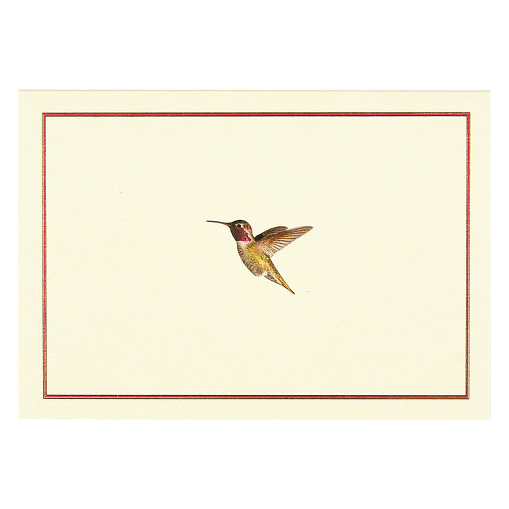 PETER PAUPER PRESS - HUMMINGBIRD FLIGHT NOTE CARDS - Buchan's Kerrisdale Stationery