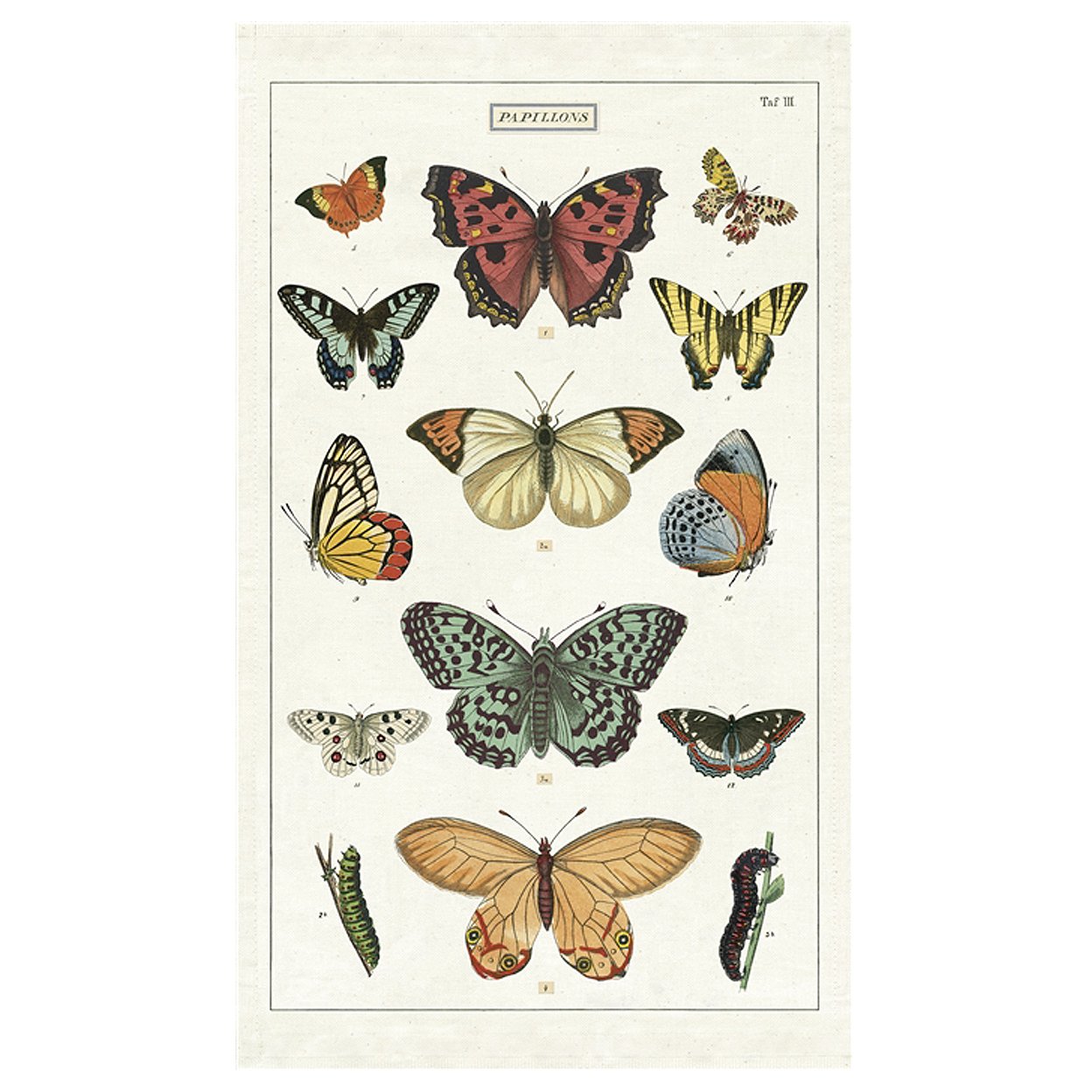 CAVALLINI & CO - TEA TOWEL "Butterflies" - Buchan's Kerrisdale Stationery