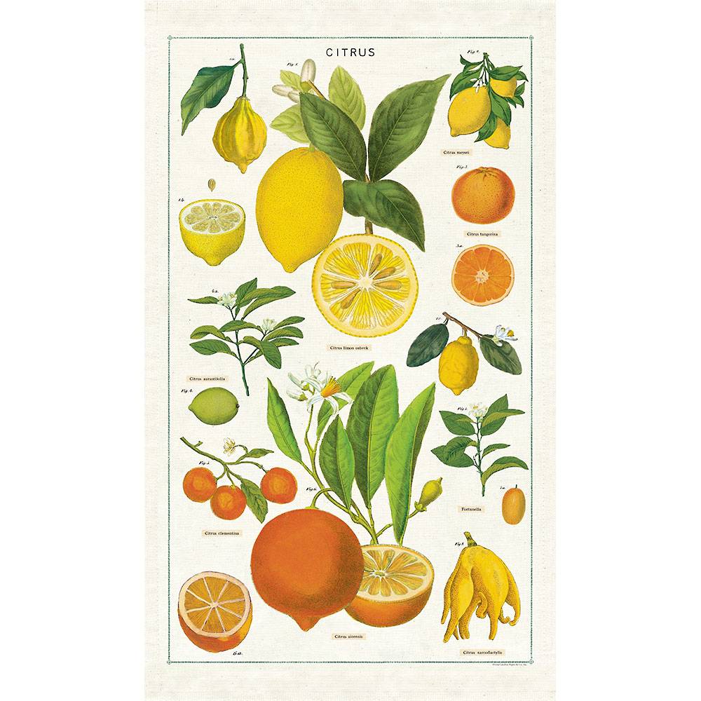 CAVALLINI & CO - Tea Towel "Citrus" - Buchan's Kerrisdale Stationery