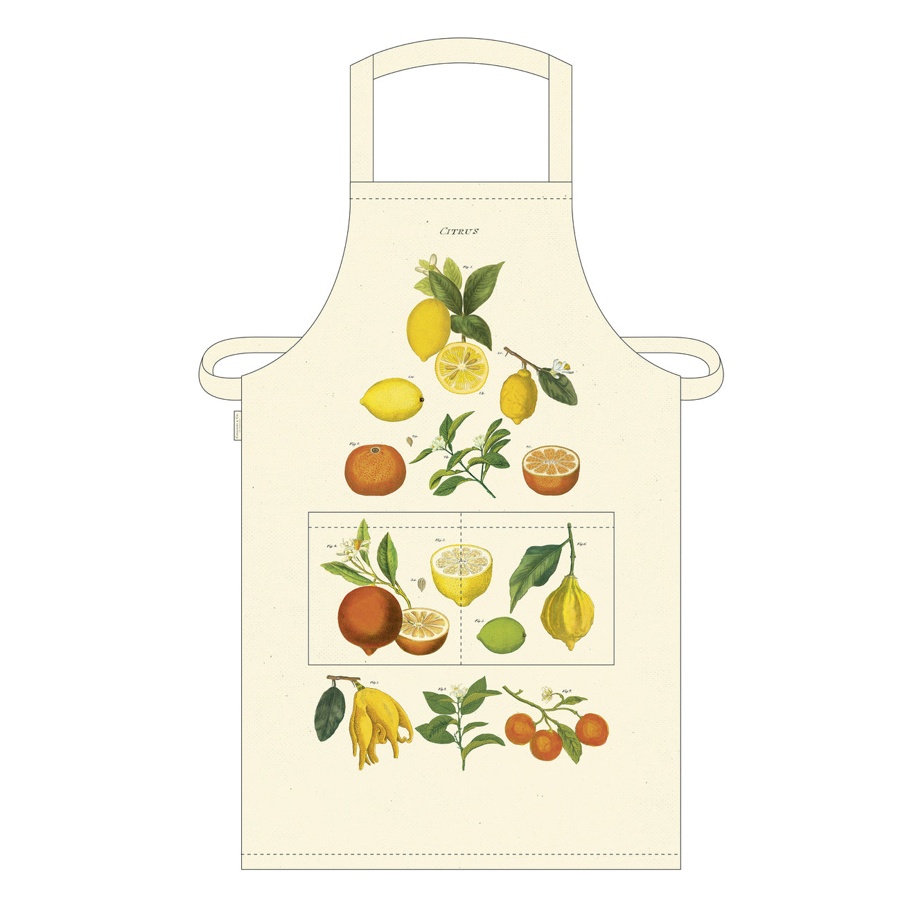 CAVALLINI & CO - Vintage Apron "Citrus" - Buchan's Kerrisdale Stationery