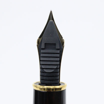 PLATINUM – #3776 Celluloid Fountain Pen 14K Gold – Tortoise - Buchan's Kerrisdale Stationery