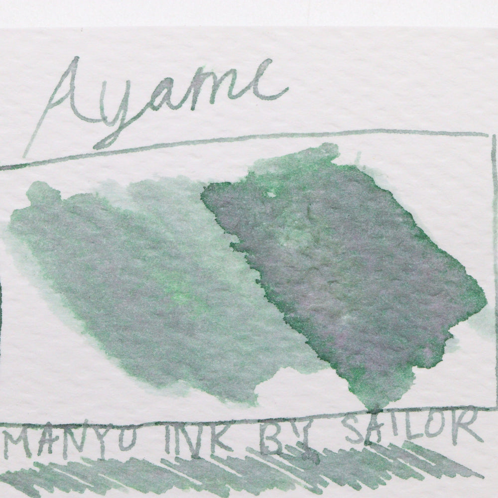 SAILOR PEN - MANYO INK - Bottled Fountain Pen Dual Shading Ink (50ml) - AYAME (Green-Grey) - Buchan's Kerrisdale Stationery