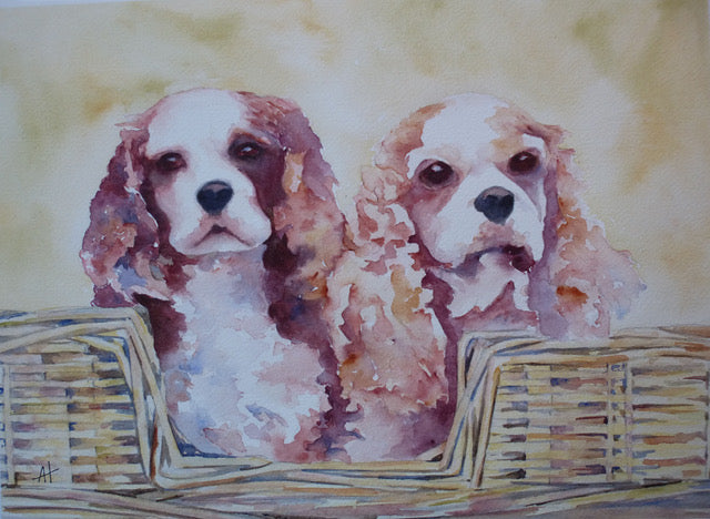 Ann Hilton Cards - Nora's dog - Buchan's Kerrisdale Stationery