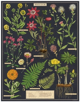 CAVALLINI & CO - 1000 Piece Vintage Puzzle "Herbarium" - Buchan's Kerrisdale Stationery