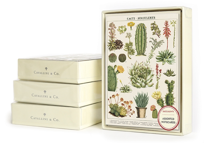 CAVALLINI & CO - Boxed Note Cards "Succulents" - Buchan's Kerrisdale Stationery
