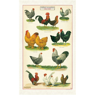 CAVALLINI & CO - Vintage Tea Towel "Chickens" - Buchan's Kerrisdale Stationery