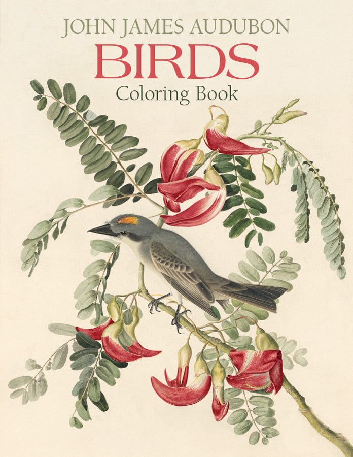 POMEGRANATE - JOHN JAMES AUDUBON: BIRDS COLORING BOOK - Buchan's Kerrisdale Stationery