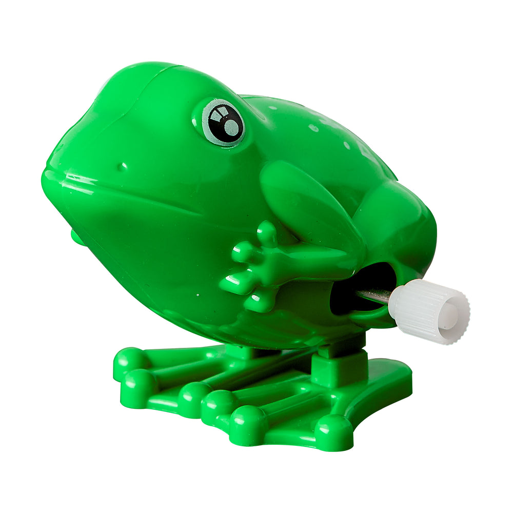 RITE LITE - Wind Up "Hoppy Passover" Frog Toy - Buchan's Kerrisdale Stationery