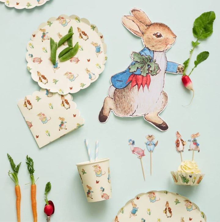MERI MERI – Peter Rabbit™ & Friends – 12 Unique Peter Rabbit Party Plates - Buchan's Kerrisdale Stationery