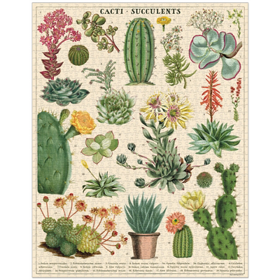 CAVALLINI & CO - 1000 Piece Vintage Puzzle "Cacti & Succulents" - Buchan's Kerrisdale Stationery